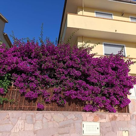Bouganville Olmedo Εξωτερικό φωτογραφία