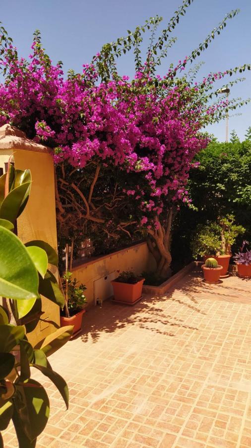 Bouganville Olmedo Εξωτερικό φωτογραφία